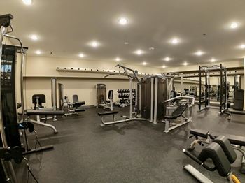 Creekside large gym with a lot of exercise equipment